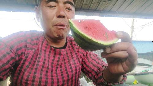 甘肃网红老头吃瓜事件,揭秘网络红人的争议瞬间  第1张